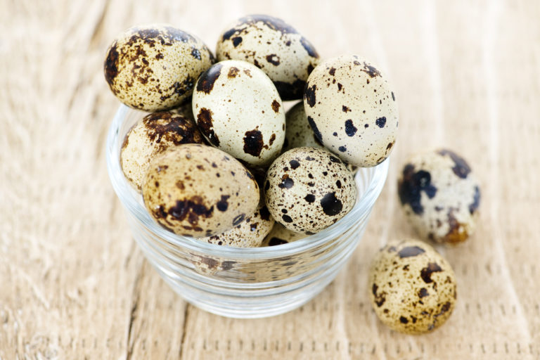 Quail Eggs & Why They're Perfect For Any Homesteader