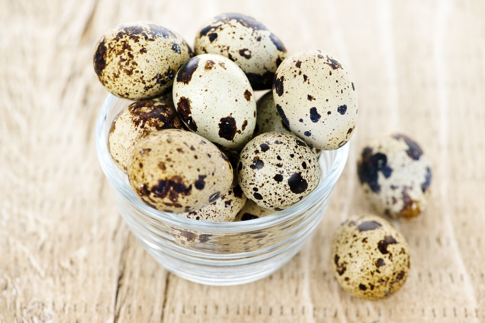 Quail eggs